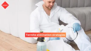 Termite elimination strategies