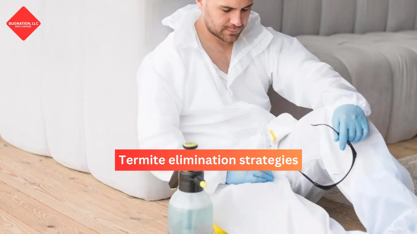 Effective Ways to Eliminate Termites Before They Cause Damage