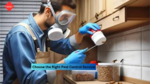 Choose the Right Pest Control Service