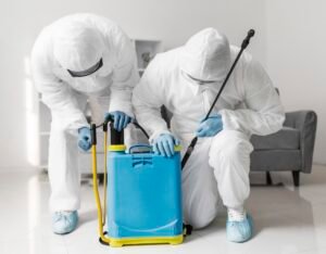 What to Expect During a Professional Pest Control Service Visit