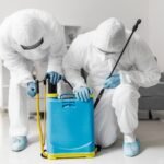 What to Expect During Pest Control Service Visit