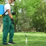 Best DIY Pesticide Control! Step By Step Guide