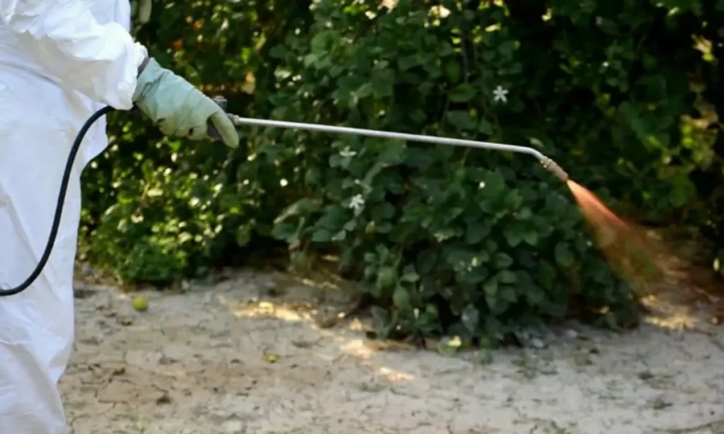 DIY Pesticide