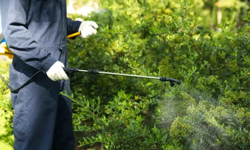 DIY Pesticide