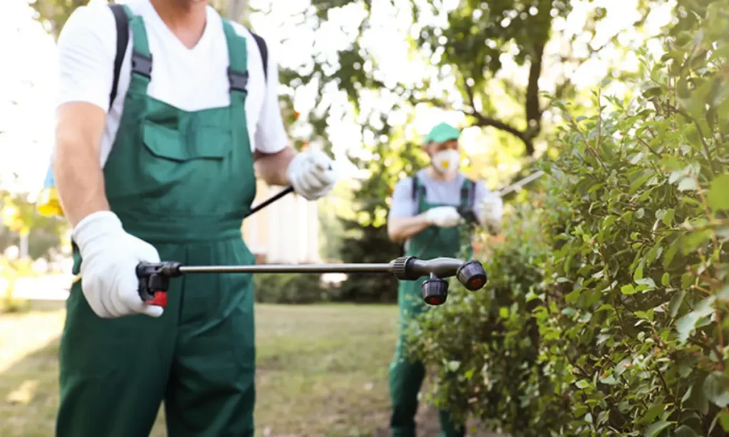 DIY Pesticide